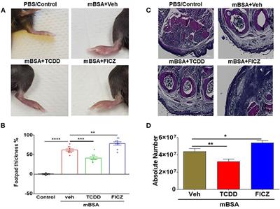 AhR Ligands Differentially Regulate miRNA-132 Which Targets HMGB1 and to Control the Differentiation of Tregs and Th-17 Cells During Delayed-Type Hypersensitivity Response